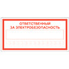 Знак Ответственный за электробезопасность