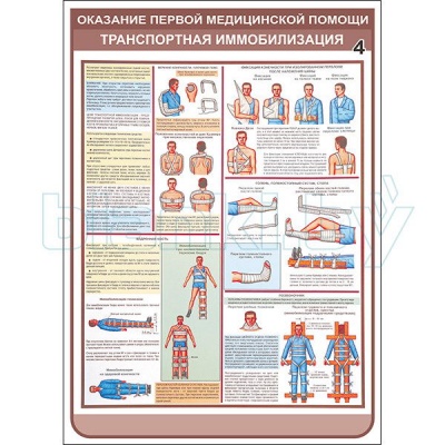 Плакат Оказание первой медицинской помощи транспортная иммобилизация