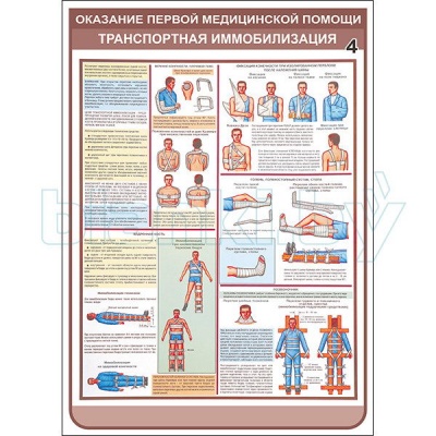 Плакат Оказание первой медицинской помощи транспортная иммобилизация