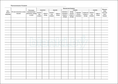 Приходно-расходная книга по учету бланков строгой отчетности внутренняя часть