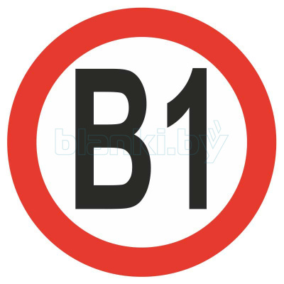 Знак категорийности помещений В1